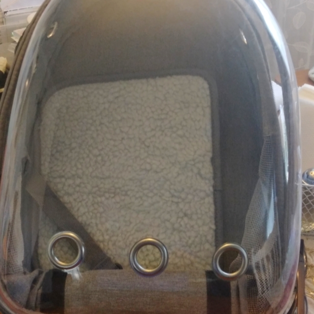 Pet Backpack